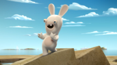 Rabbid hundred