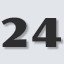 Level 24