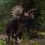 TRICERATOPS