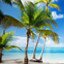 Island in Hawaii