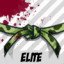 Elite Belt!