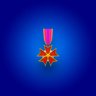 Medal of Annihilation