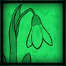 SNOWDROP
