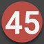 45 Points