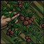 Foraging (Sovereignty)