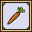 Carrot