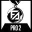 Professional - 2