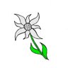 I3 Trophy: Large White Flower