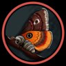 Moth