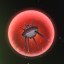 Space Debris Cleanup