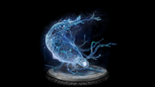 Augur
