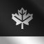 Environment (Silver)