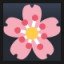 Cherry Blossom