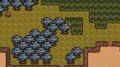 Cavern Wall