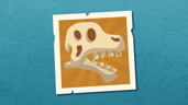 Skill and Bones