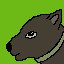 Tamed wolf