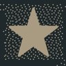 Star of Bethlehem