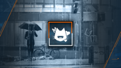Collector
