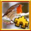 Robin Complete!