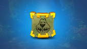 C2 | No Bear Left Behind