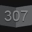 307 level
