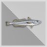 10.000 kg Silver Hake