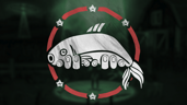 Expert Fisherman