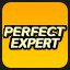 EXPERT PERFECTPLAY