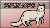 You found Penelope