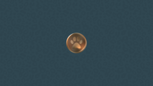 Bronze Award