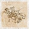 Carnivore-Pack-Hunting-Fertile