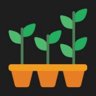 Find Pumpkin Seedling