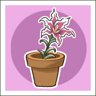 Flower Power