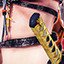 The Chanbara Novice