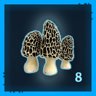  Mushroom Hunter Level 8