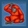Level 6 - Catch the Furry!
