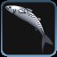 100 tons Mackerel