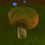 Collect 1 mushroom
