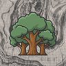 Oak zone