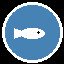 First Catch