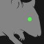 Feed the Rats