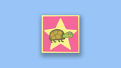 Helping Tiddles the Tortoise.