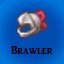 Brawler