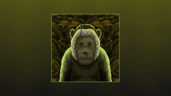 Wet Monkey