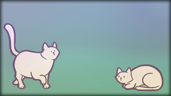Found 220 cats