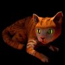 Scaredy-Cat