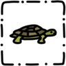 Find All Turtles