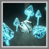 Arcanist