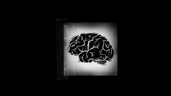 Follow your mind