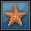 Bronze Star